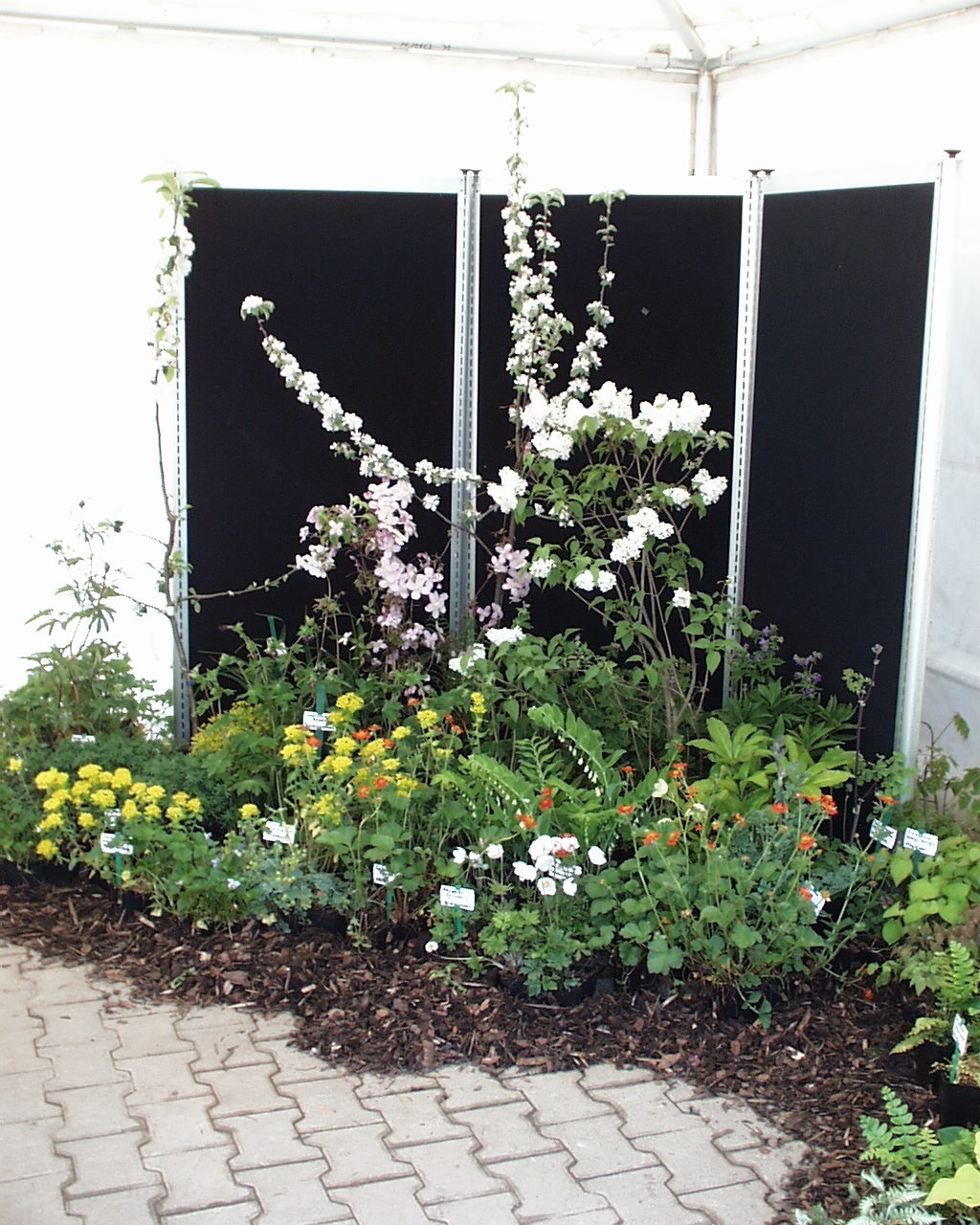 Sie betrachten gerade Klimakrise kommt auch in unseren Gärten an-                                                                                         Wir müssen uns  verändern