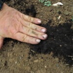 Fachwissen und jahrelange Erfahrung gilt nichts mehr –