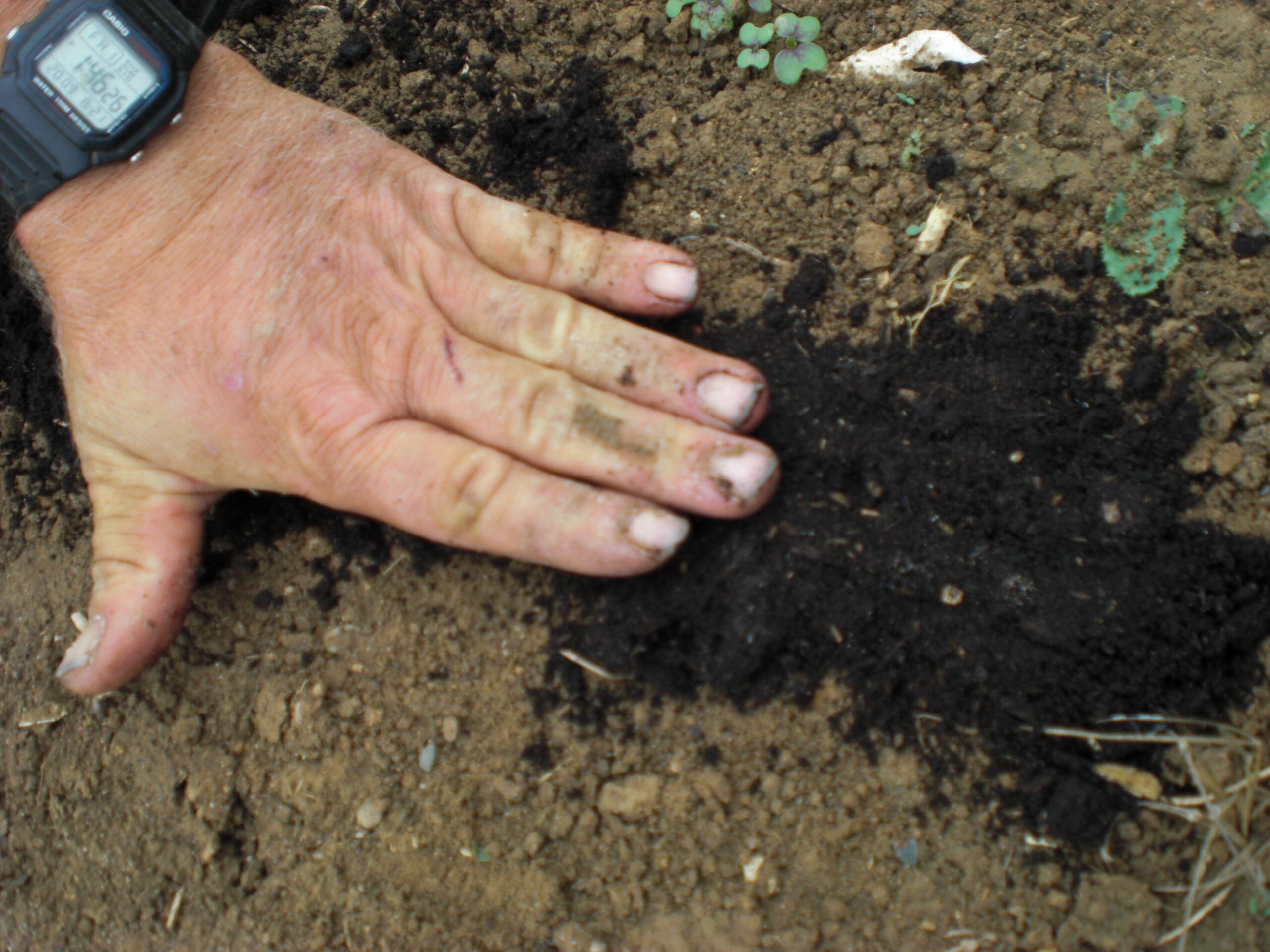 Sie betrachten gerade Fachwissen und jahrelange Erfahrung gilt nichts mehr –