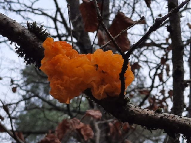 Unser Geheimnis – warum unsere Pflanzen viele Jahre bei ihnen wachsen und auch schlechte Zeiten überstehen